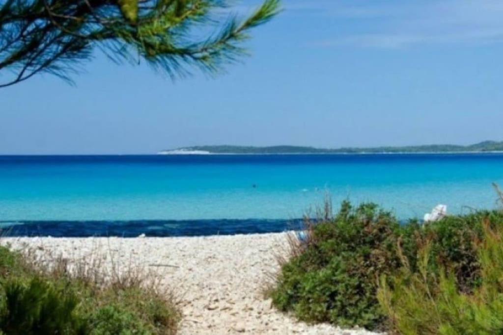 Apartment Lordanic Zaglav, Dugi Otok 外观 照片