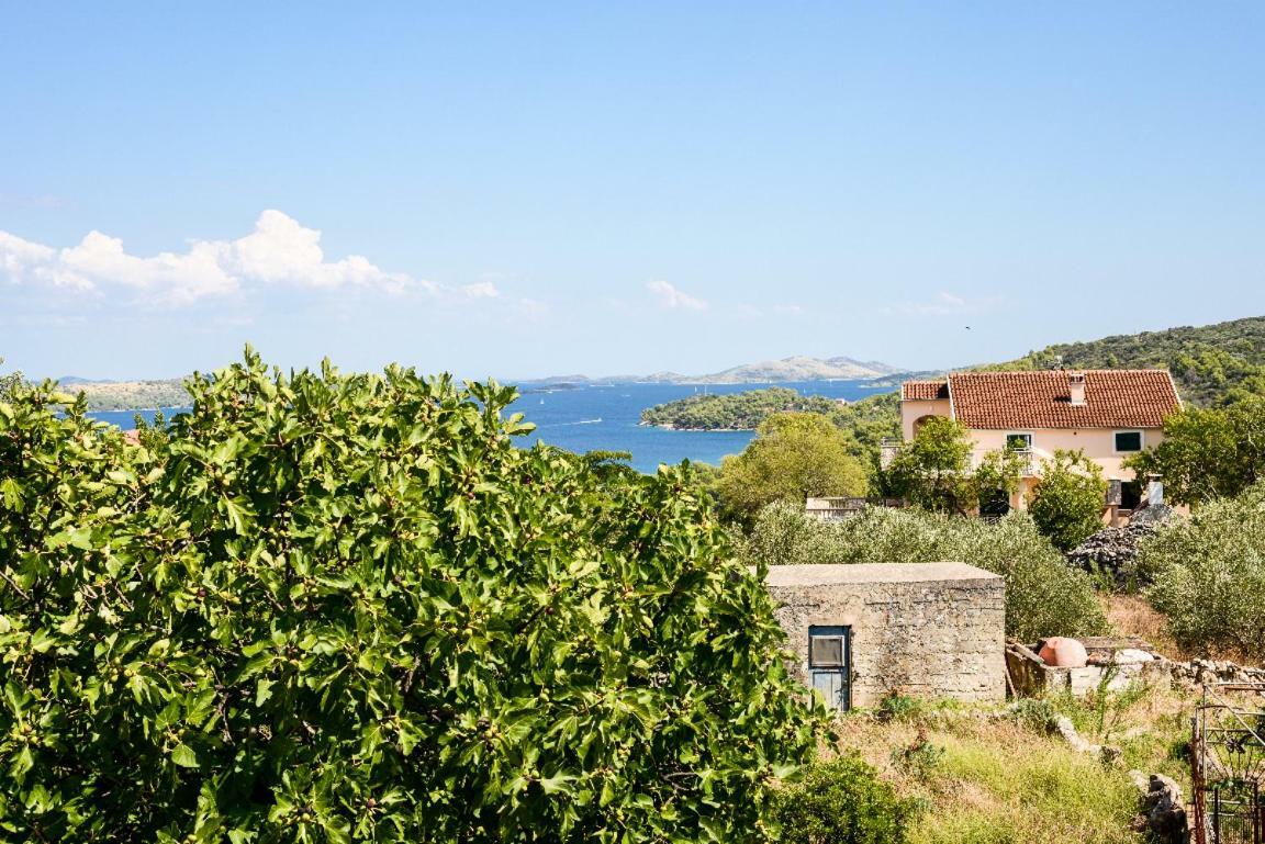Apartment Lordanic Zaglav, Dugi Otok 外观 照片